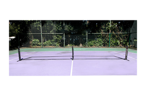 Pickleball Net Standard